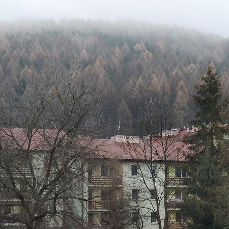 Apartament Wataha Ustrzyki Dolne Buitenkant foto