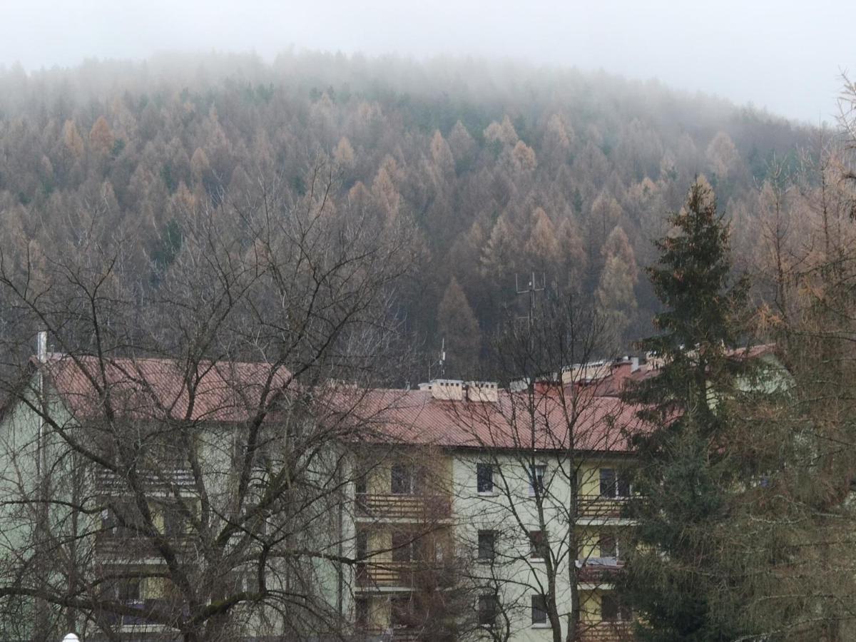 Apartament Wataha Ustrzyki Dolne Buitenkant foto